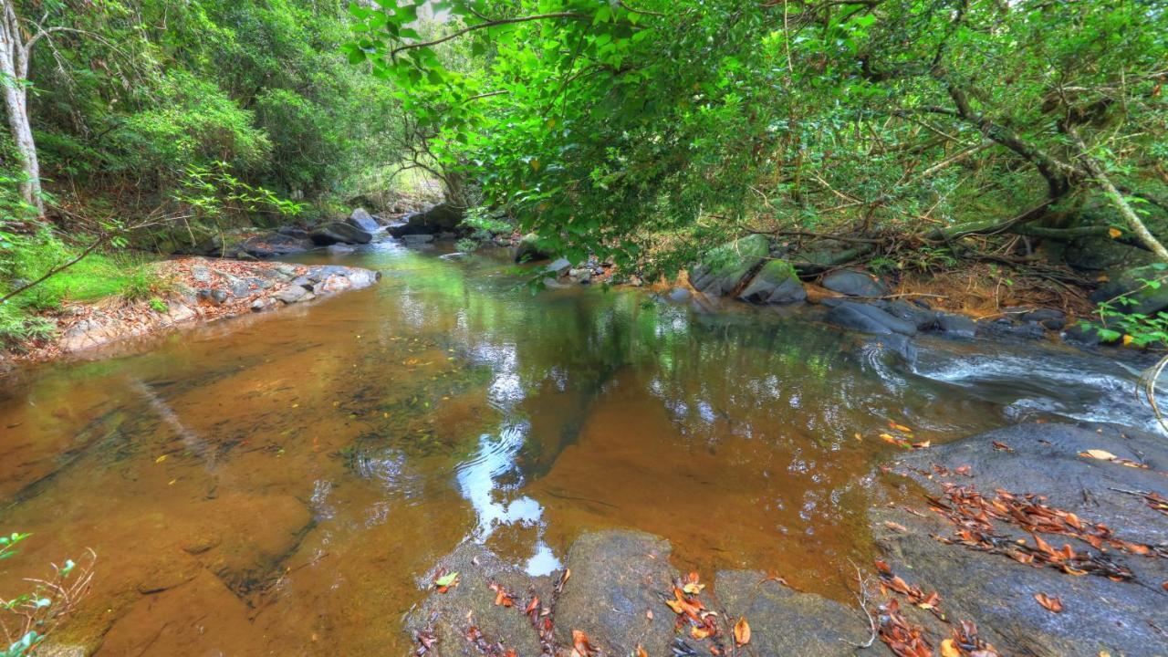 河之歌休养住宿加早餐旅馆 Millaa Millaa 外观 照片