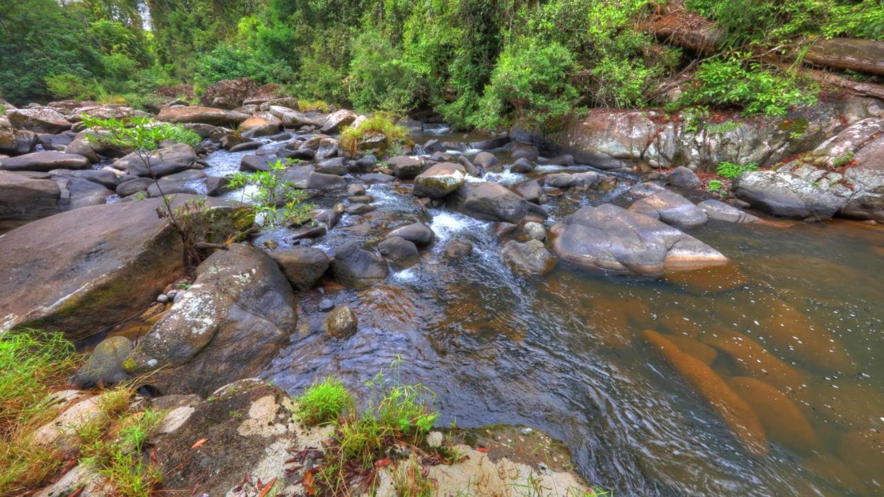 河之歌休养住宿加早餐旅馆 Millaa Millaa 外观 照片